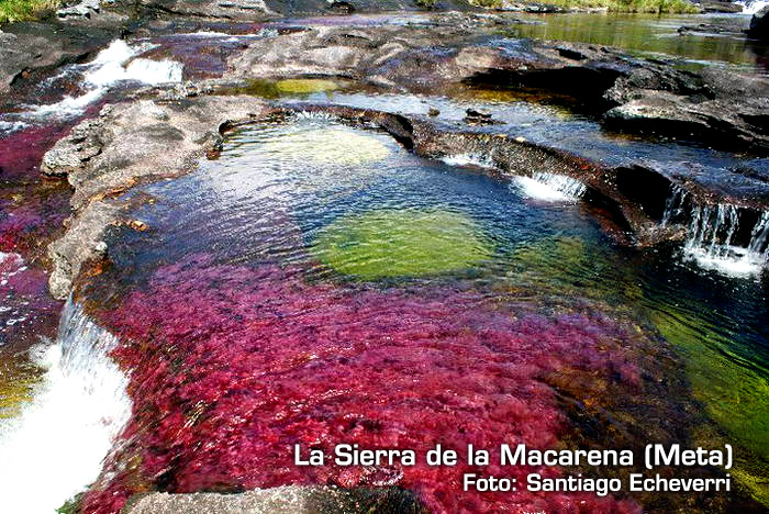 La Sierra de la Macarena - Meta